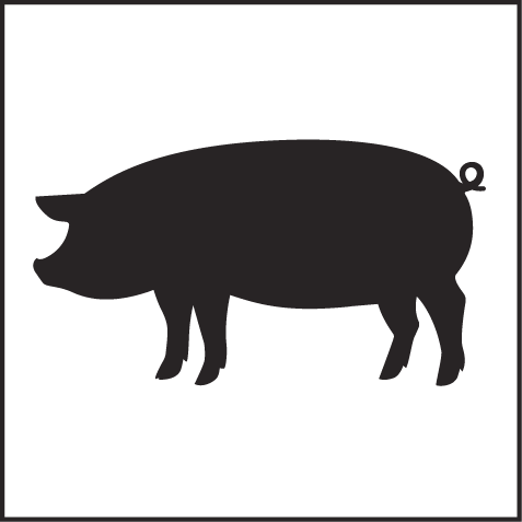 Pig This is a silhouette of a typical pig with a curly tail, facing left.